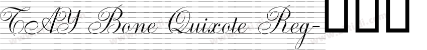 TAY Bone Quixote Reg字体转换